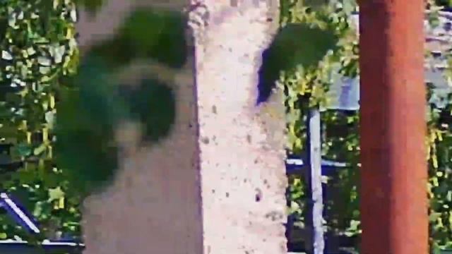 псп пистолет Корсар компакт калибр 5.5 : Быстрый тест отстрел . смотреть онлайн