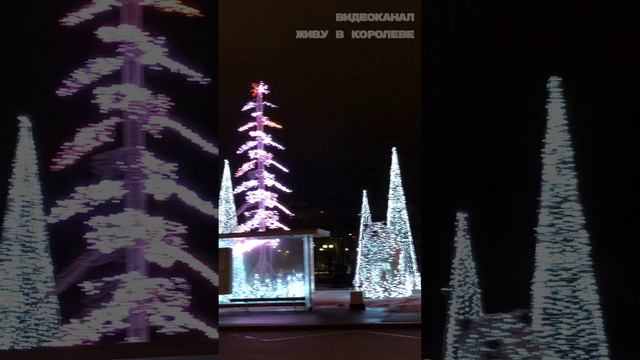 Светящиеся мишки у парка Акведук в Ростокино (Москва)