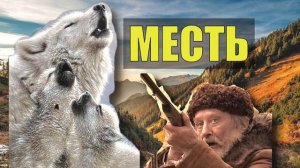 ВОЛК ОТОМСТИЛ = КРОВЬ ЗА КРОВЬ ГЛАЗ за ГЛАЗ ВОЛЧЬЯ ВЕРНОСТЬ ПРЕДАННОСТЬ СТАЯ СЛУЧАЙ в ТАЙГЕ ОДИНОКИЙ