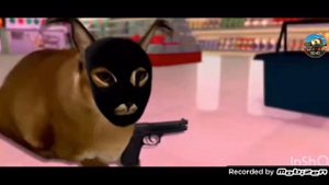 Шлёпа ограбил магазин