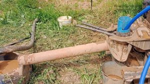 Абиссинская скважина на обводненном суглинке