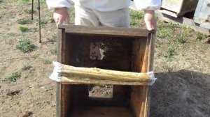 Зимовка отводков на сетчатом дне