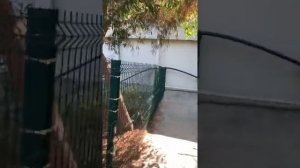 Alissa garden hotel Турция 2020 Алиса Турция