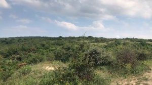 Феодосия.Вид с горы Тепе Оба