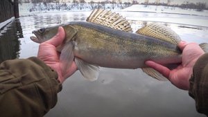 Рыбалка не в Мандулу.