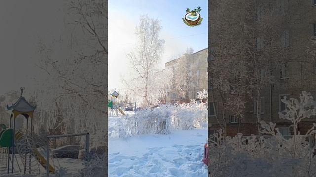 Предновогодняя сказка🌨☃️🌬