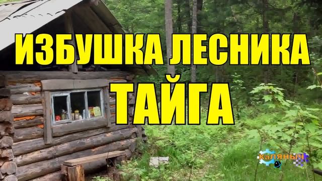 0986 - ДОБЫЧА ЗОЛОТА В ТАЙГЕ _ Старый Рудознатец смотреть онлайн
