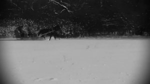 Сон Гринёва