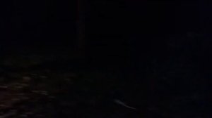 Сигнум МФД. Глубинная программа, разбор случая "не работает"