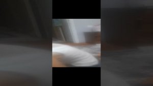 30-12-2024 Можно я с тобой сплю под гитару 30 декабря 2024 год