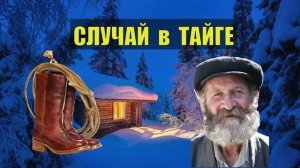 0368 ЛЕСНЫЕ ИСТОРИИ из ЖИЗНИ РАССКАЗЫ ЛЕСНИКА НАХОДКА в ЛЕСУ СУДЬБА СЛУЧАЙ в ТАЙГЕ ЖИЗНЬ в ДЕРЕВНЕ