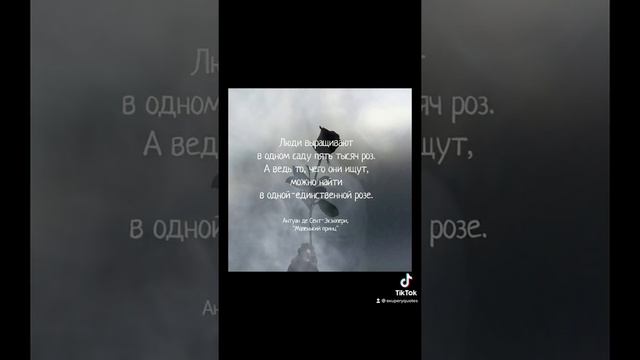#экзюпери #маленькийпринц