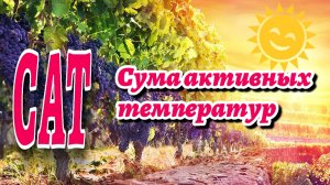 Сумма активных температур