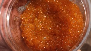 Засолка икры форели