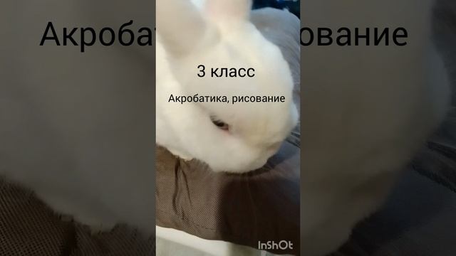 #пов мои хобби #❤️подпишись # рек# танцы🔥❤️