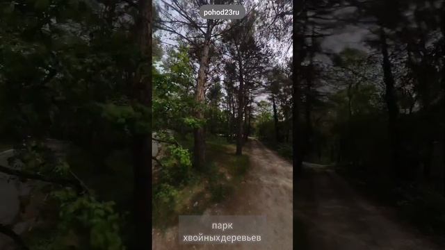 Прогулка к пляжу "Голубая бухта" с посещением парка в Институте Океанологи