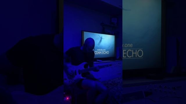 nobody.one - Womb Home cover