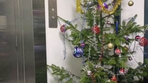 подготовка к новому году