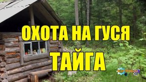 0961 - ОХОТА НА ГУСЯ _ ПОДРАНОК СТАЛ ВЕРНЫМ ДРУГОМ _ ТАЙГА