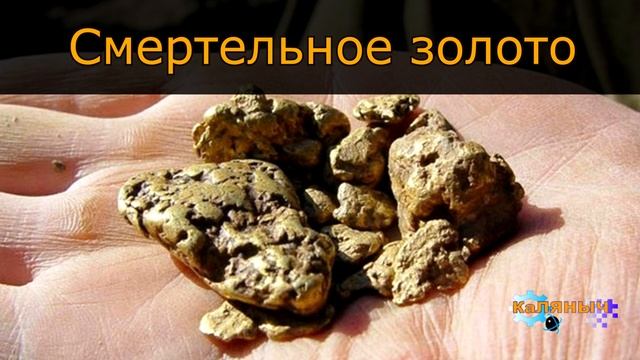1183 - Смертельное золото _  Неразгаданная тайна смотреть онлайн