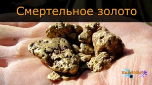 1183 - Смертельное золото _  Неразгаданная тайна