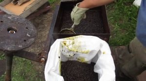 Переработка воскосырья на нашей пасеке.