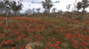 S.T.A.L.K.E.R. 2  Heart of Chornobyl. Нашёл артефакт СТРАННЫЙ ЦВЕТОК