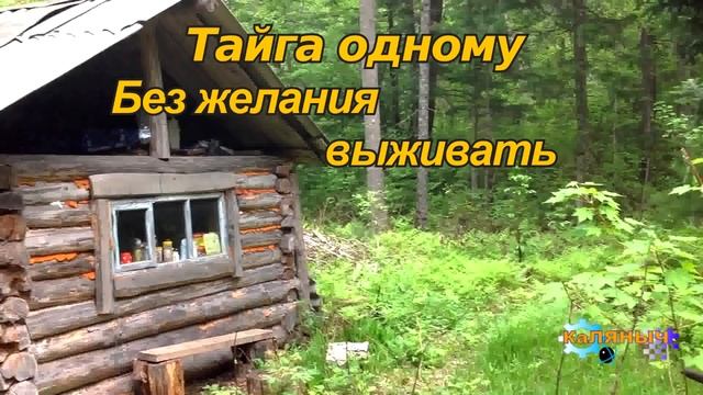 1174 - Один без желания выживать _ Тайга одному смотреть онлайн