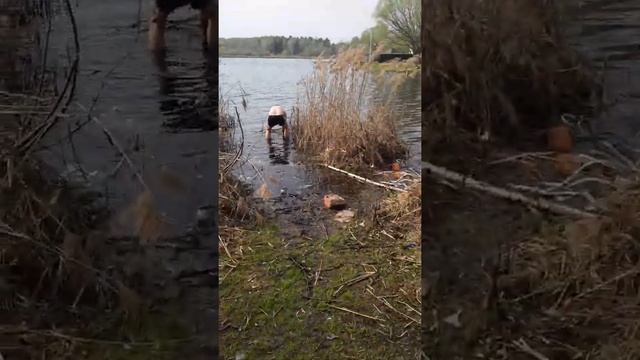 Сезон купания 27 смотреть онлайн