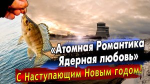 Теляпия в Удомле / Микроджиг Jara baits / Новый вид рыбы -
Ловля в адских условиях