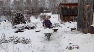 Зимние заботы