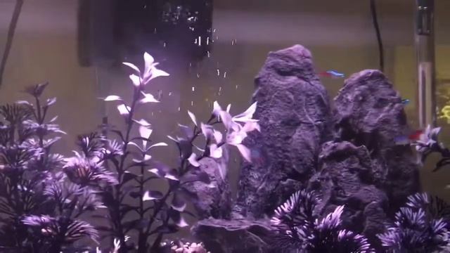 Neon смотреть онлайн