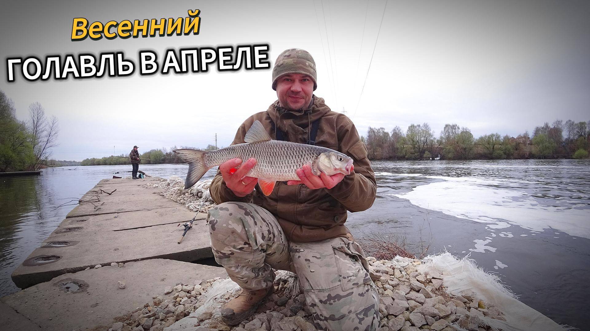 Голодный весенний голавль отрывает поводки. Клюëт и Ловится. Рыбалка на донку.