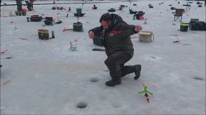 Форель быстро уходит в поля. Клёвое место, Лосиный остров, нижний водоём.