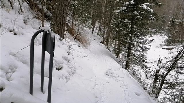 зима белокуриха алтай сибирь ручей шиши терренкур тропа здоровья