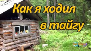 Как я ходил в тайгу