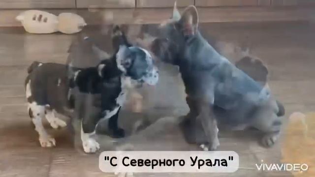 14 февраля 2024 г. смотреть онлайн