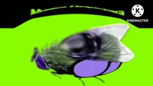 Мушка Пердушка in I KILLED