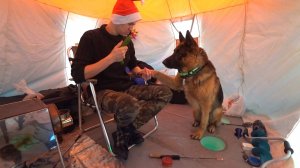 Окунь в речке. Плов на печке. Праздничная рыбалка!