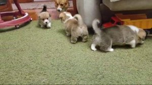 1000016129.mp4