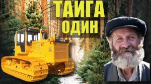 ТАЙГА Один Одинёшенек СУДЬБА ТРАКТОРИСТА ЖИЗНЬ в ТАЙГЕ ЧТЗ Т-130 РЕМОНТ БЕЗДОРОЖЬЕ ВАЛКА ЛЕСА