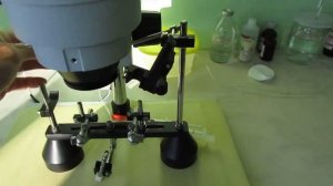 Инструментальное осеменение. Станция гидроподачи (06.08.2023)