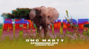 DMC MARTY - AFROHOUSE MIX JANUARY 2025