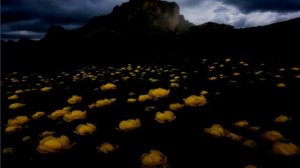 Uncannystart Band Giga Different 201 to 300