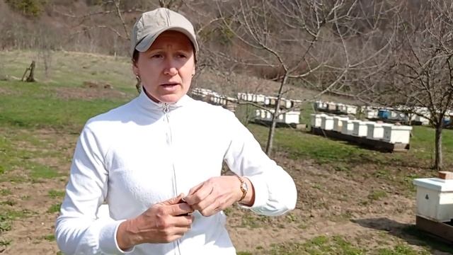 Чем поить пчел весной (15.04.2021)