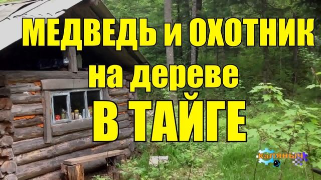 0994 - МЕДВЕДЬ ЗАГНАЛ ОХОТНИКА НА ДЕРЕВО _ СЛУЧАЙ В ТАЙГЕ смотреть онлайн
