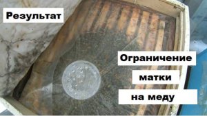 Результат ограничения матки на меду