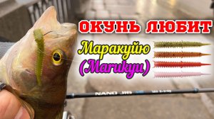 МАРАКУЙЯ. Пробую УЛОВИСТУЮ ПРИМАНКУ по ОКУНЮ! MIFINE NаnoJig 0.5-2 гр #стритфишинг #дропшот #окунь