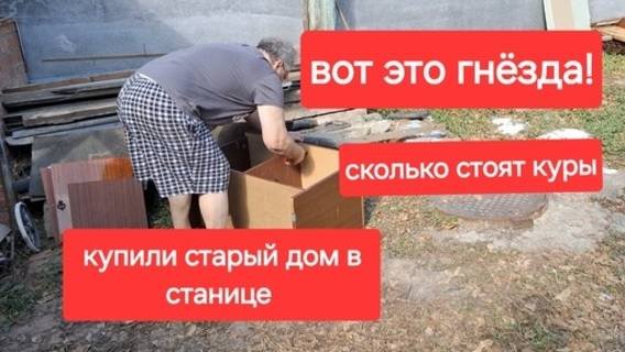 66//Купили старый дом в станице. Вот это Гнёзда наделал.Сколько стоят Куры в станице.