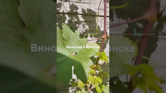 22 июня 2024 г.